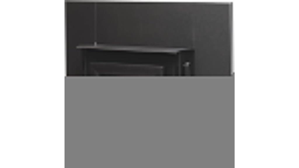 black wood stove insert