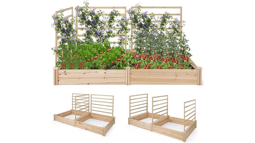 garden bed with trellis
