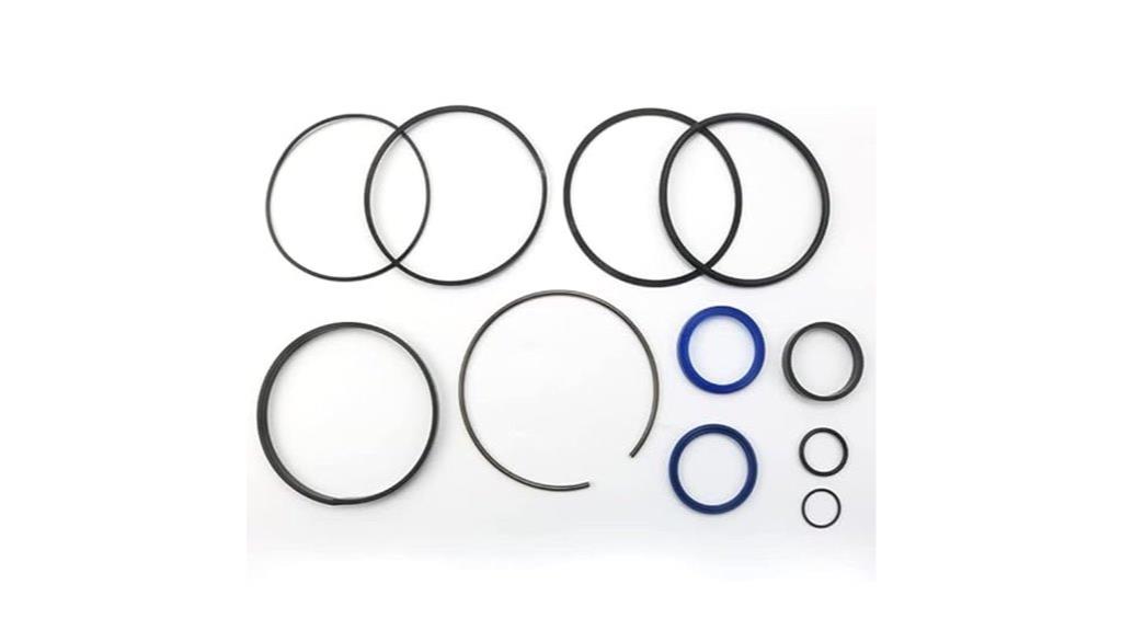 hydraulic cylinder seal kit