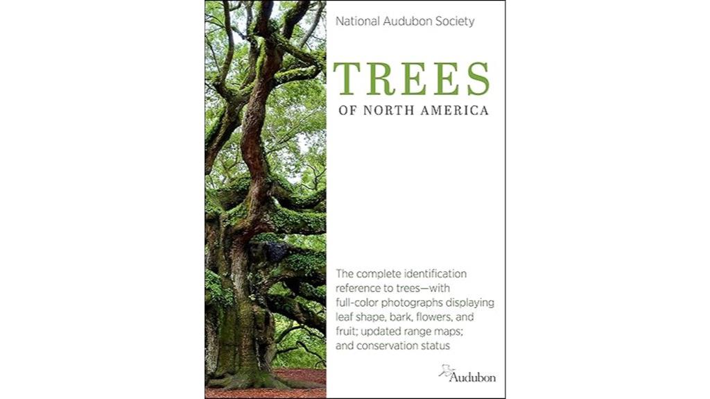 north american tree identification