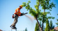 proper small tree felling