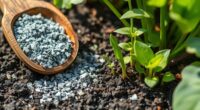 wood ash fertilizes gardens