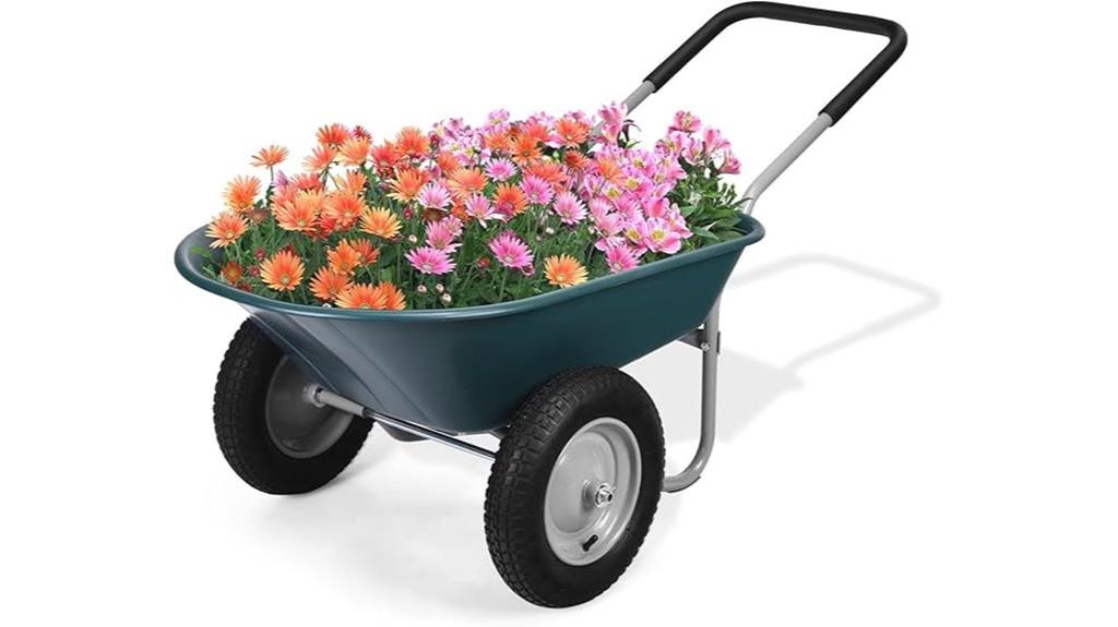 dual wheel gardening wheelbarrow