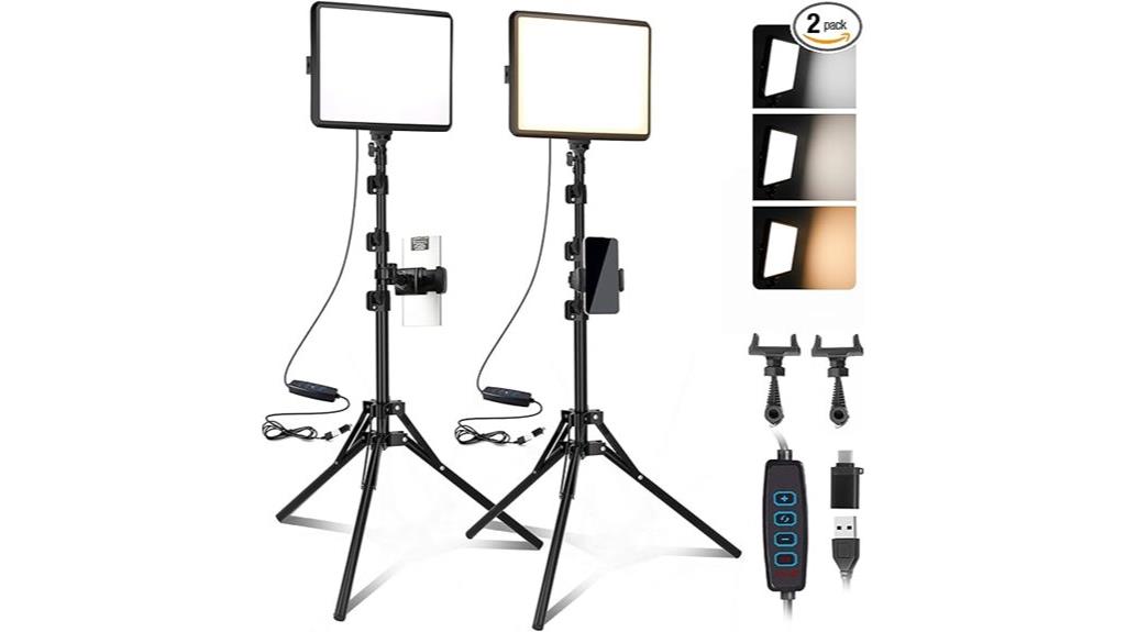 dual led lighting kit