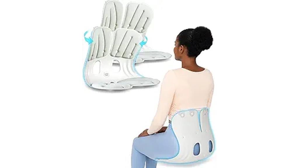ergonomic lumbar support pack
