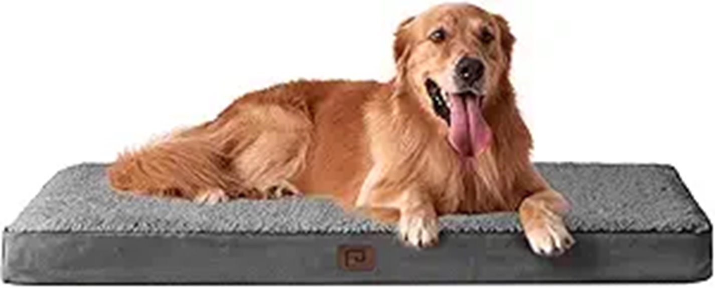 orthopedic washable dog bed