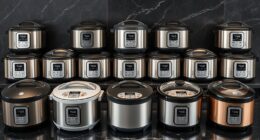 premium elegant rice cookers