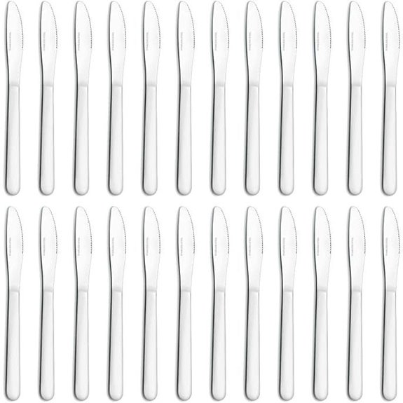 24 Pieces Stainless Steel Dinner Knife Set