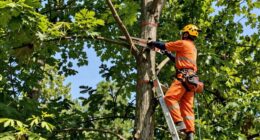 always cut from both sides