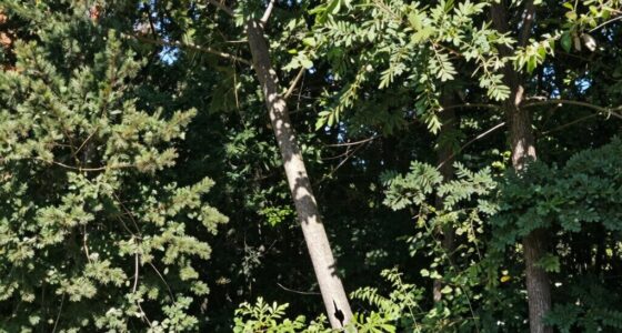 identify risky learners early