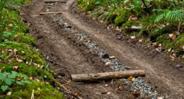 proper trail construction techniques