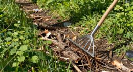 sweep away bark debris