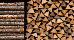 understanding face and full cords