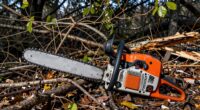 top storm cleanup chainsaws
