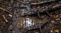 adjusting work for wet ground