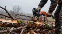 emergency storm debris removal