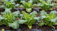 preventing moisture damage below