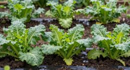 preventing moisture damage below