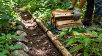 protect soil during firewood collection