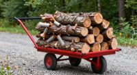 secure firewood hand truck