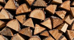 size affects burn efficiency