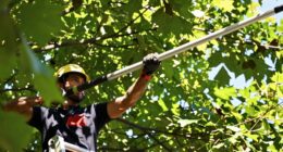 unplanned pole saw accidents