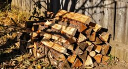 yard conditions affecting drying