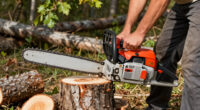 15 Best Gas Chainsaws in 2026
