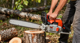 15 Best Gas Chainsaws in 2026