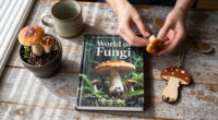 Spanning 200+ Works, A New Book Celebrates The World Of Fungi