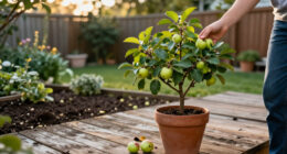 You Don't Need A Big Garden To Grow Your Own Fruit – These 7 Trees Are Perfect For Smaller Spaces